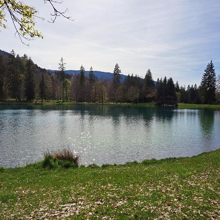 Le Duplex Septimontain Daire Samoëns Dış mekan fotoğraf