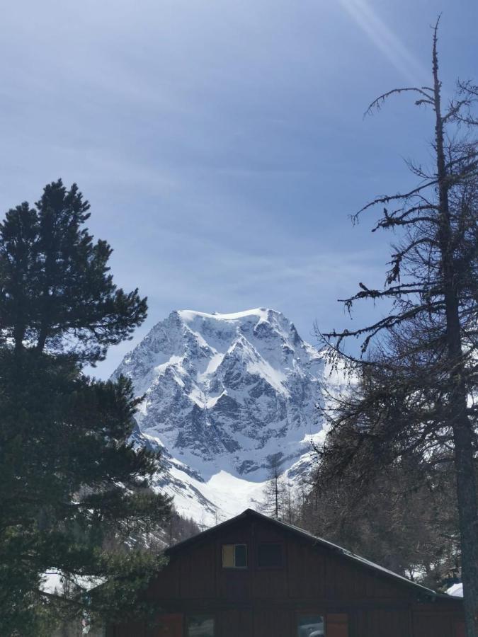 Le Duplex Septimontain Daire Samoëns Dış mekan fotoğraf