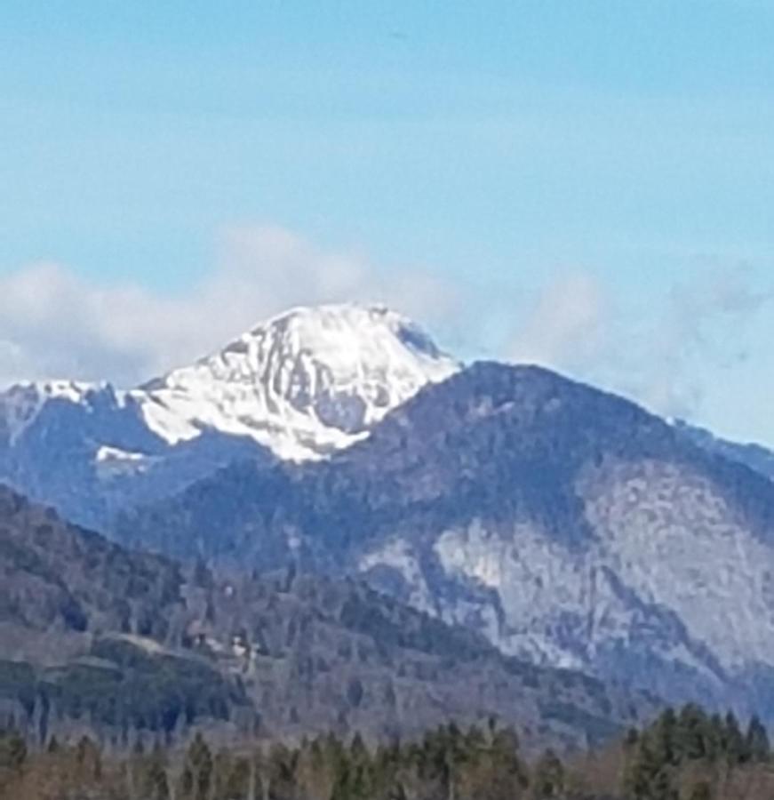 Le Duplex Septimontain Daire Samoëns Dış mekan fotoğraf