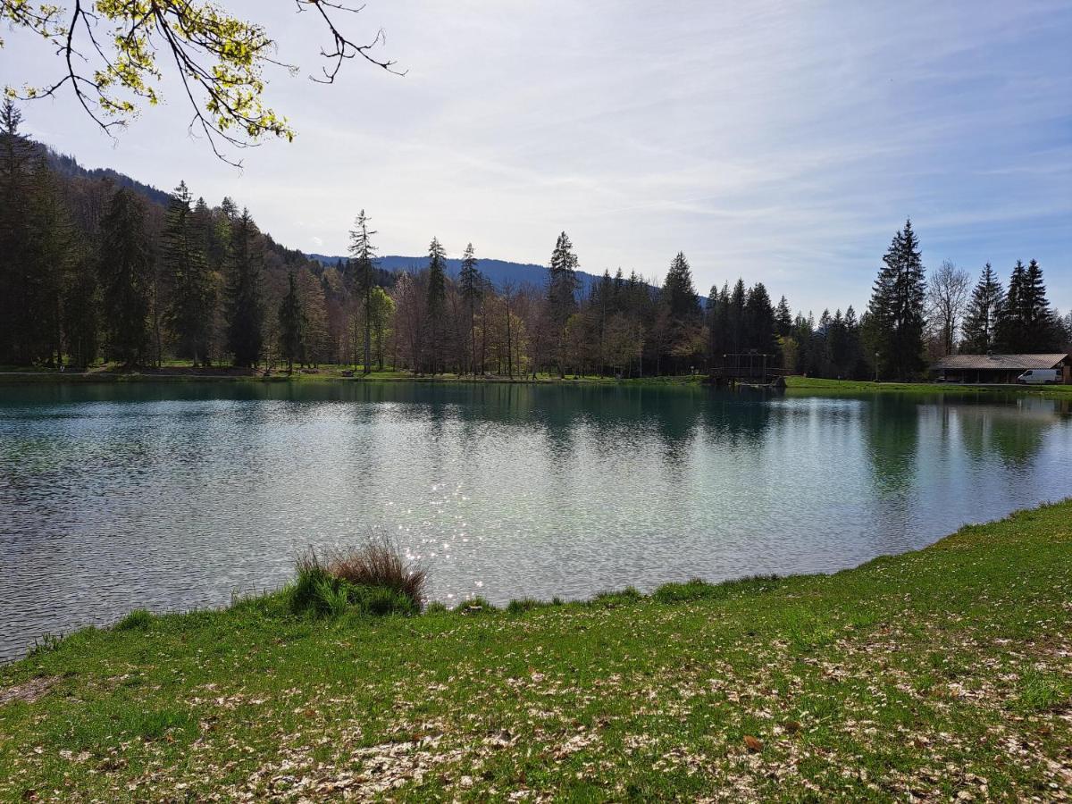 Le Duplex Septimontain Daire Samoëns Dış mekan fotoğraf